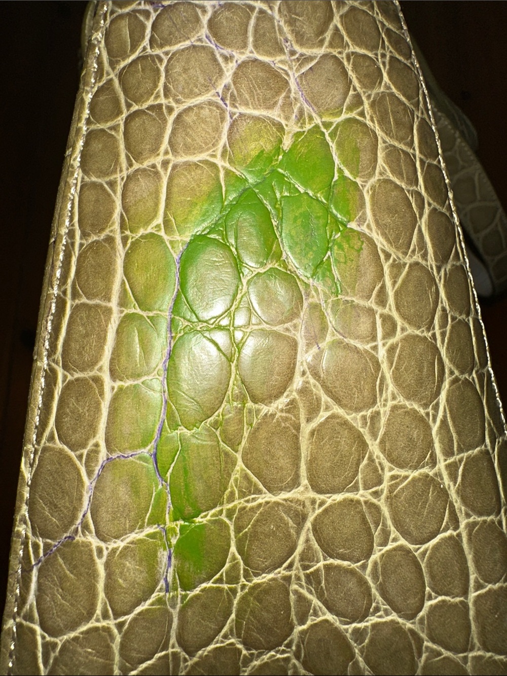 Brahmin Elizabeth Grotto Leather Purse - Picture 8 of 13